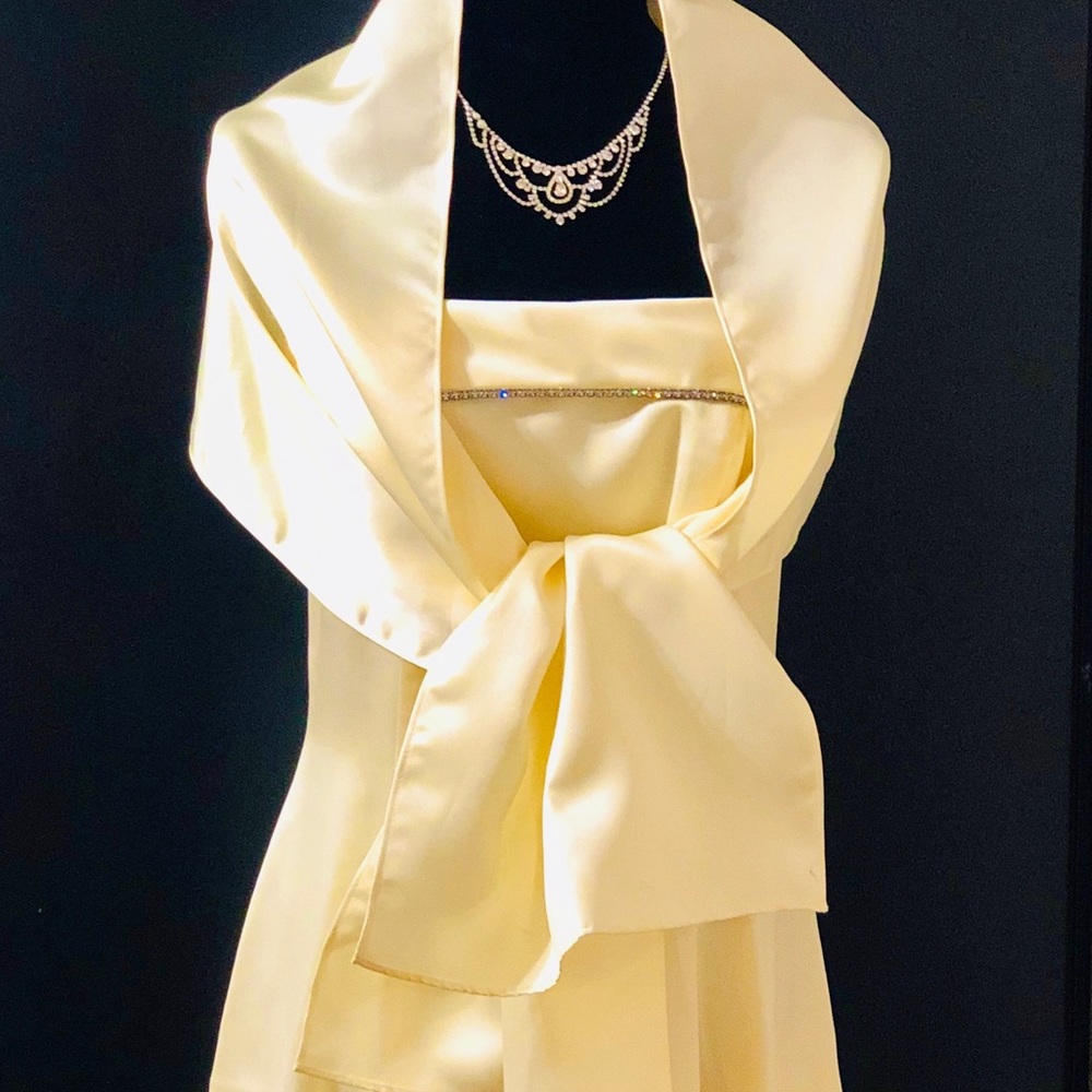 Dave & Johnny Prom Gown, size 8